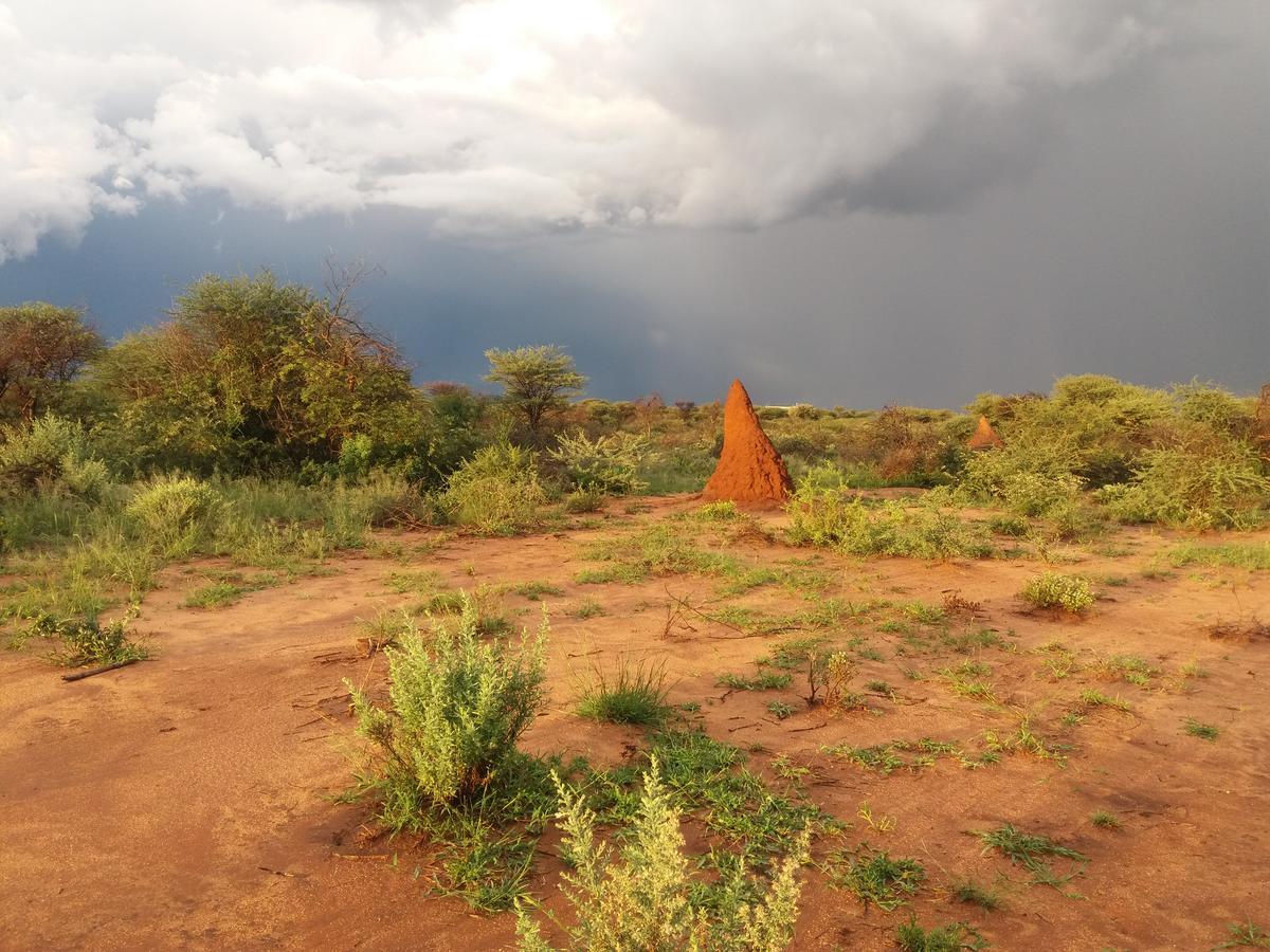 Lion'S Den Guesthouse Otjiwarongo Eksteriør bilde