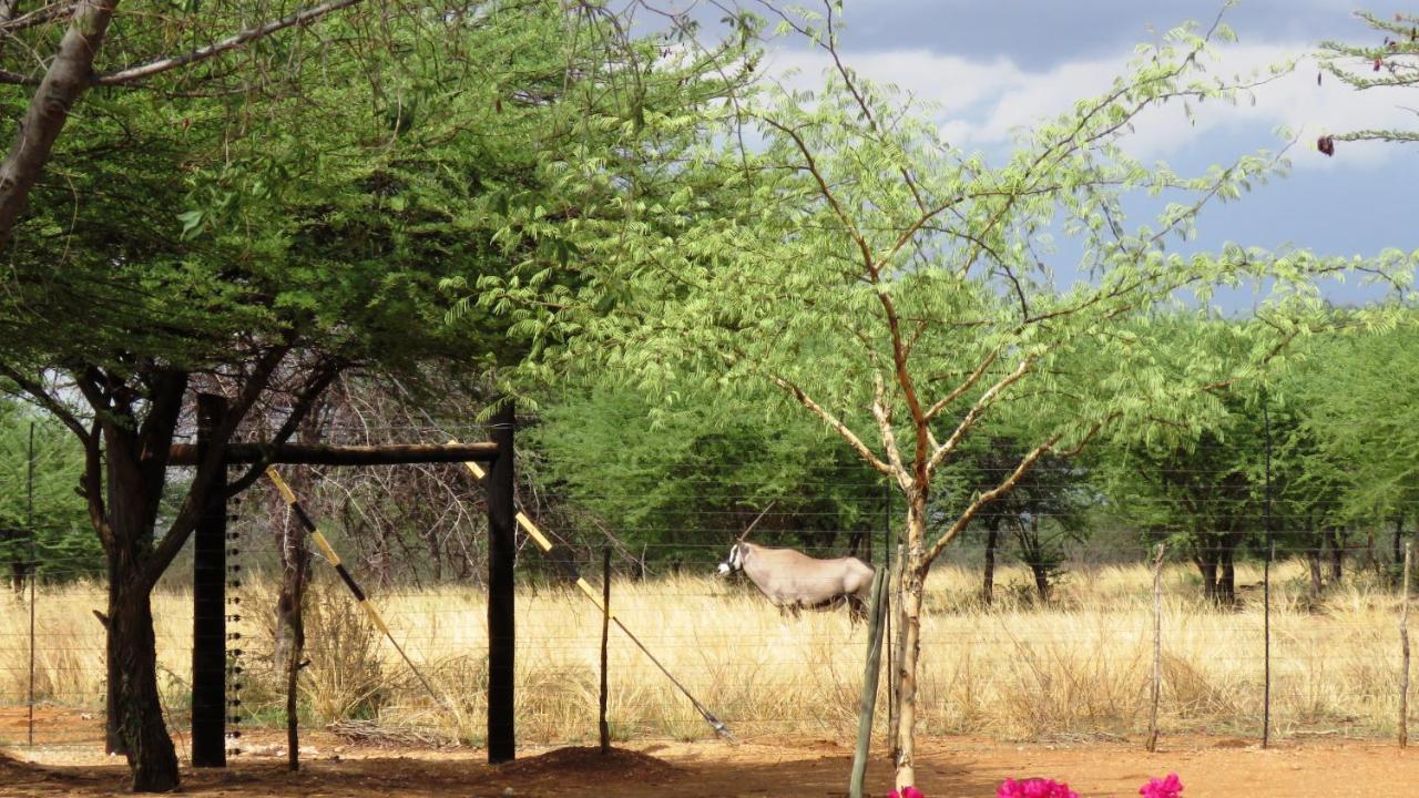 Lion'S Den Guesthouse Otjiwarongo Eksteriør bilde