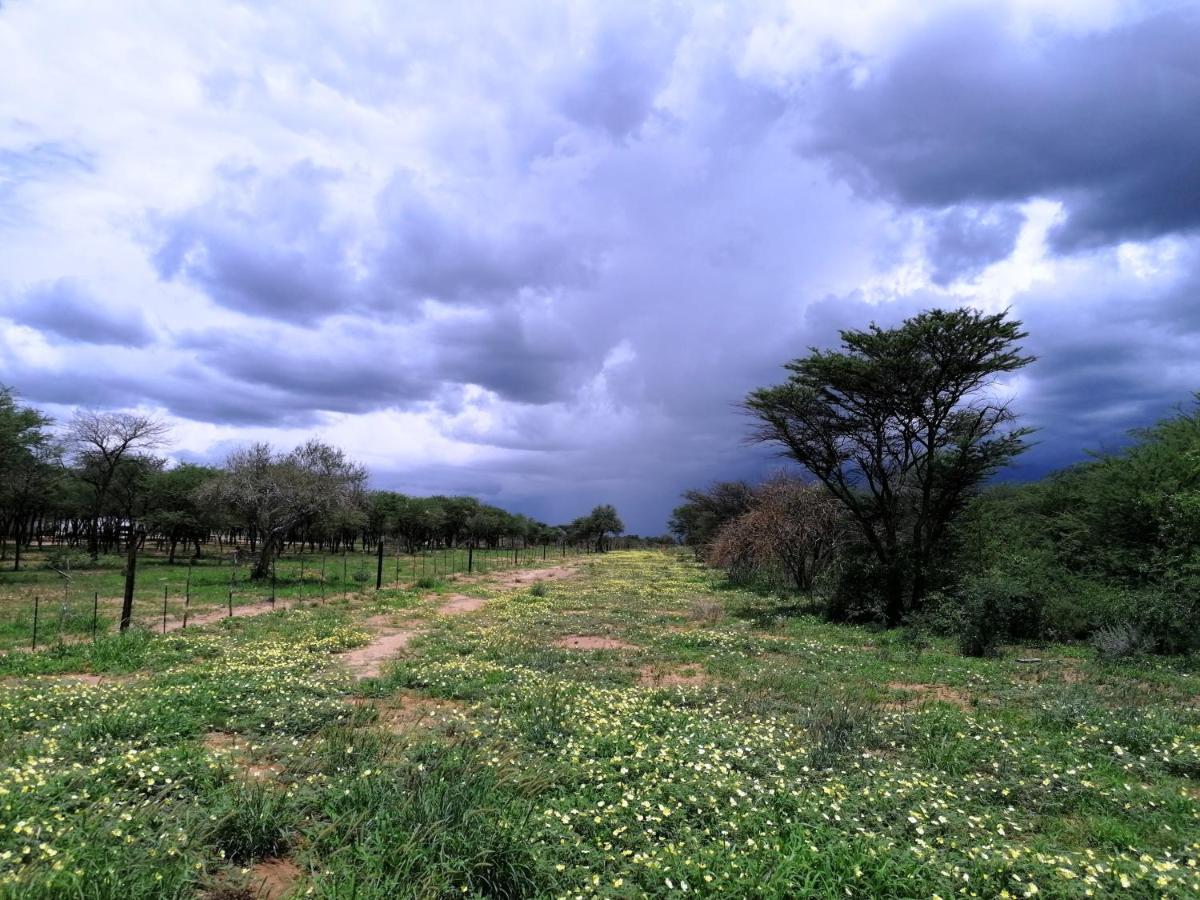 Lion'S Den Guesthouse Otjiwarongo Eksteriør bilde