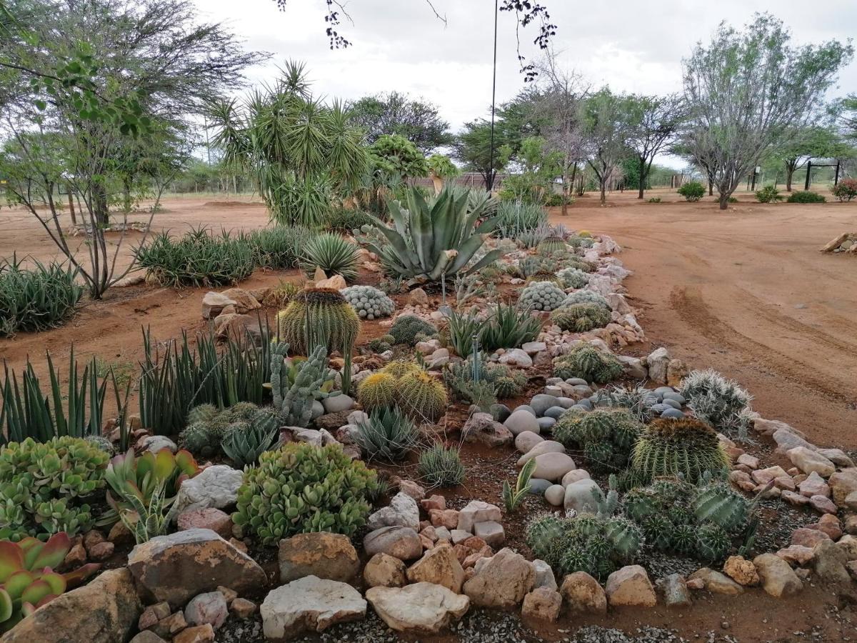 Lion'S Den Guesthouse Otjiwarongo Eksteriør bilde