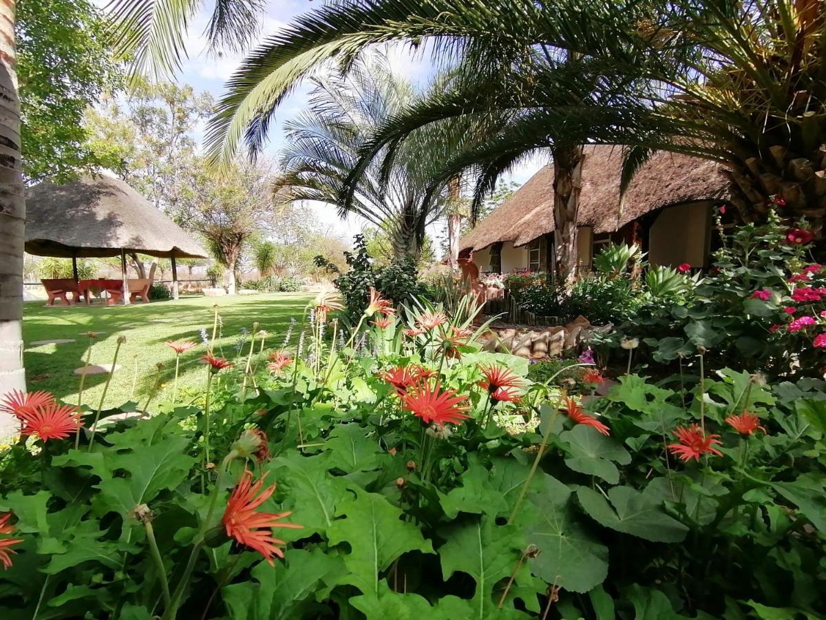 Lion'S Den Guesthouse Otjiwarongo Eksteriør bilde