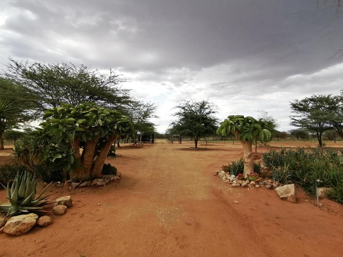 Lion'S Den Guesthouse Otjiwarongo Eksteriør bilde
