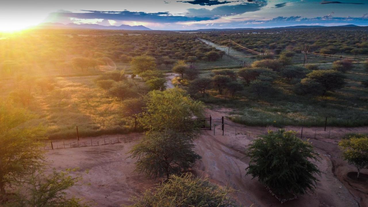 Lion'S Den Guesthouse Otjiwarongo Eksteriør bilde