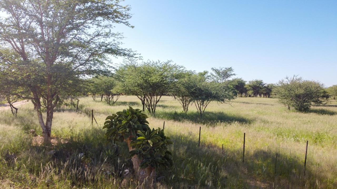 Lion'S Den Guesthouse Otjiwarongo Eksteriør bilde