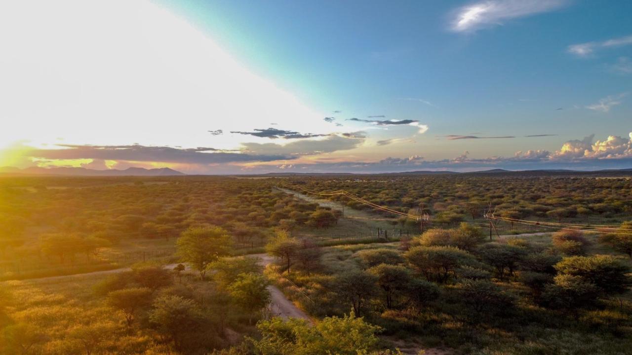 Lion'S Den Guesthouse Otjiwarongo Eksteriør bilde
